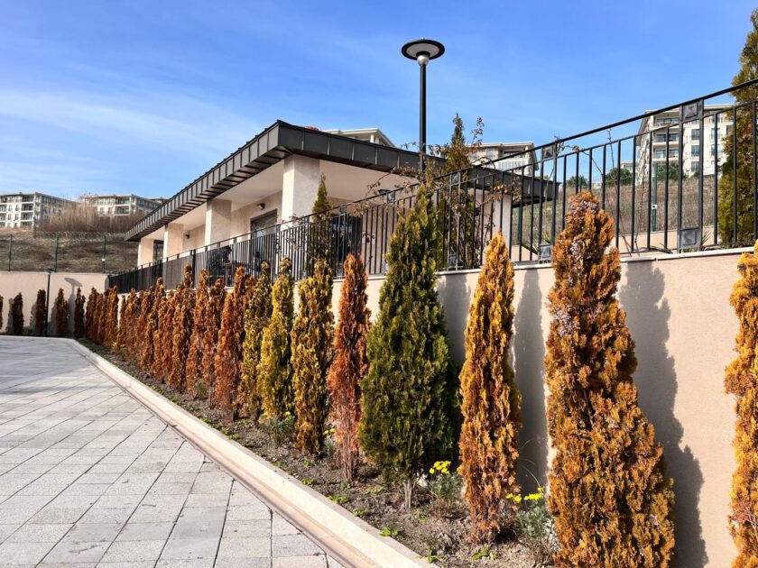 özel üretim ferforje (4)